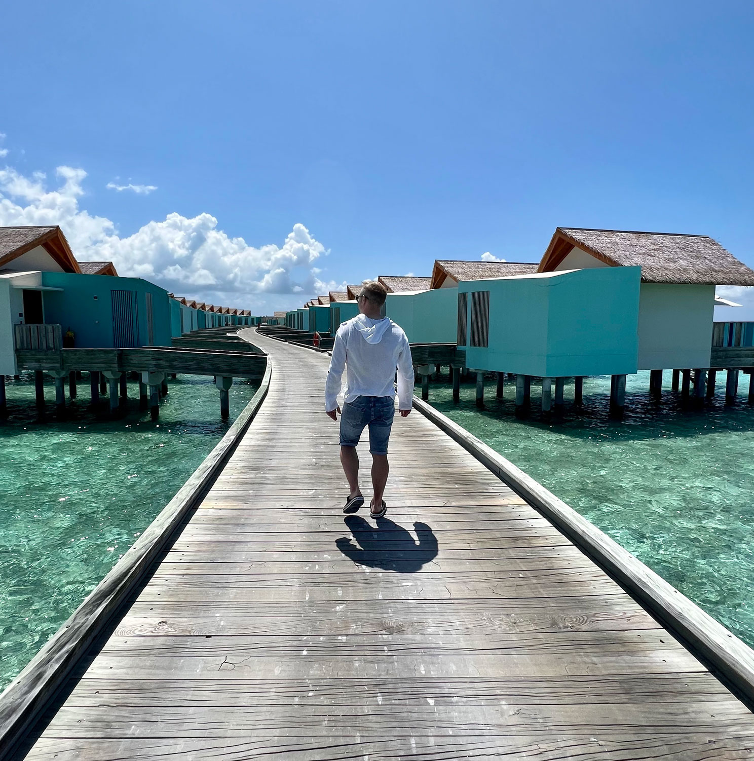 Кочергин Максим — Основатель APPYAPP